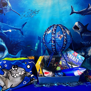 Steve the Shark Adventure Gift Basket