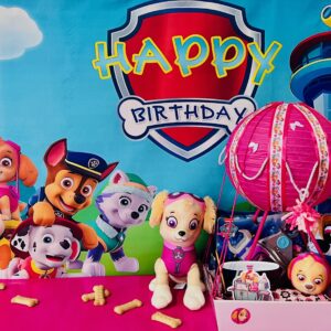 Paw Patrol Pink Girl Gift Basket – Adventure, Fun & Cuddles Await!